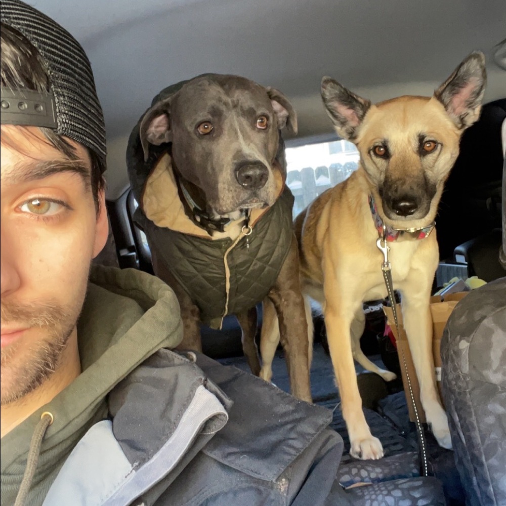 Meet your Posher, Nicholas